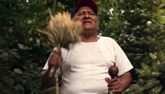 guérisseurs de l'Amazonie